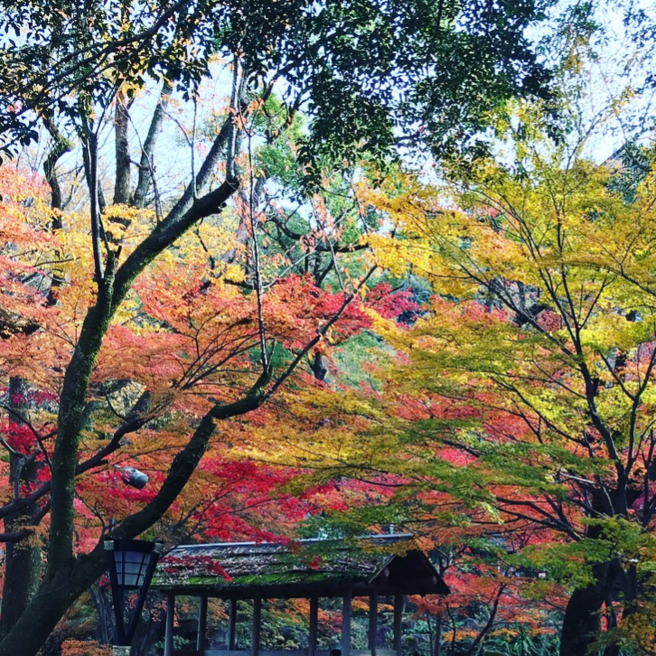 快斗